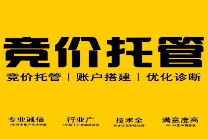 SEM营销案例解析：品牌增长之道